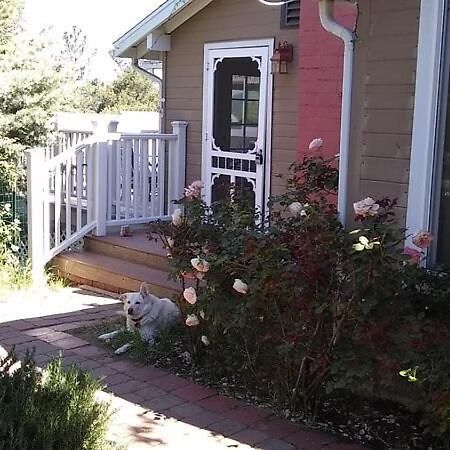 Blue Bird Cottage - Pet Friendly 朱利安 外观 照片