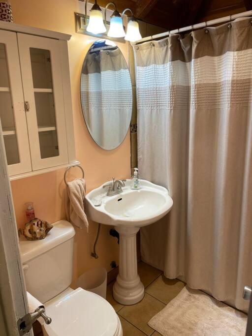 Blue Bird Cottage - Pet Friendly 朱利安 外观 照片
