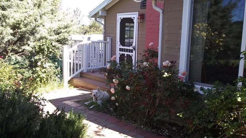 Blue Bird Cottage - Pet Friendly 朱利安 外观 照片